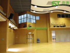 体育馆吸音板工程案例