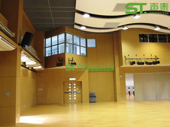 体育馆吸音板工程案例(图1)