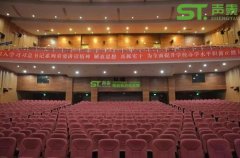 剧院吸音板工程案例