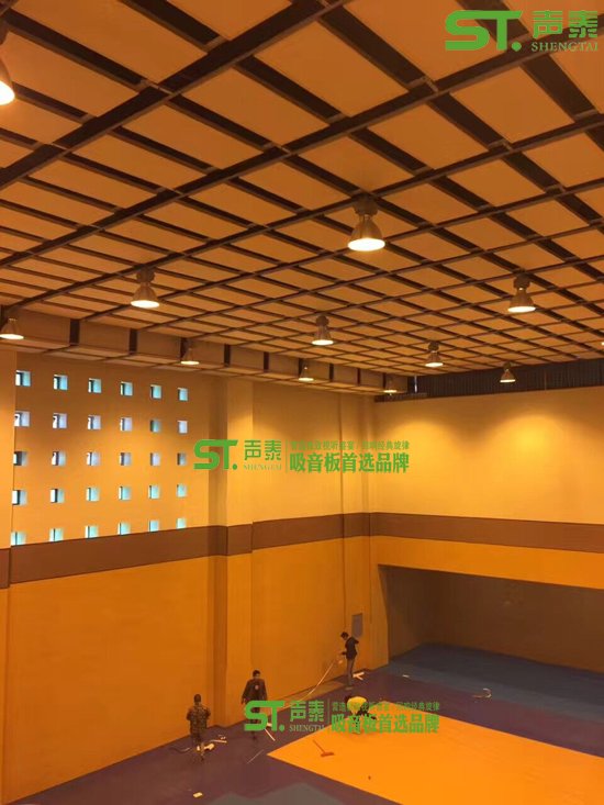 湖南体育馆空间吸声体厂家(图2) 湖南体育馆空间吸声体厂家(图2)