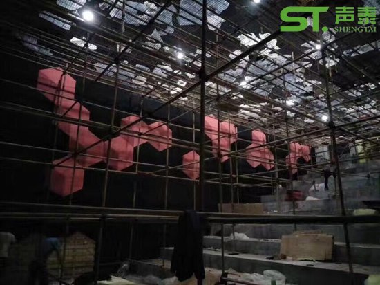 麦希影业携手声泰打造高端电影院工程项目(图1)