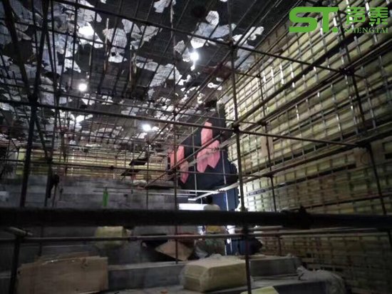 麦希影业携手声泰打造高端电影院工程项目(图2)