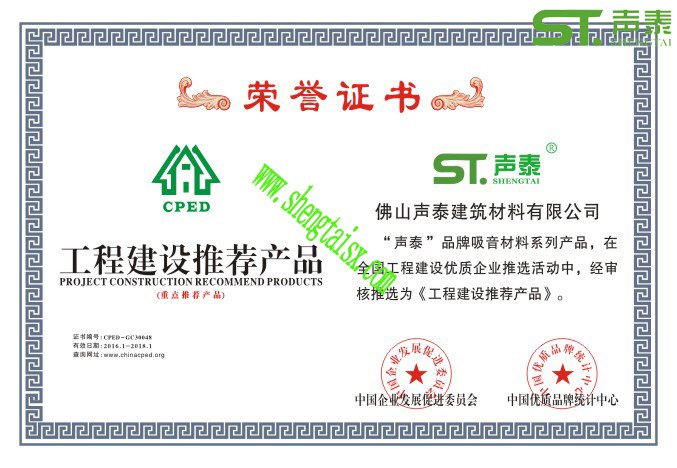 国内声学行业十强品牌厂家（声泰科技）(图2)