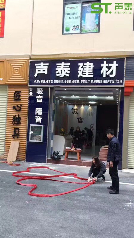 声泰（品牌）广西分公司(图2)