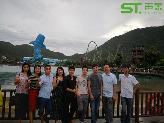 声泰国内营销团队风采展示(图1)