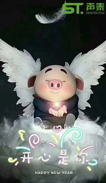 声泰(佛山）全体员工恭祝大家2019新春快乐(图4)