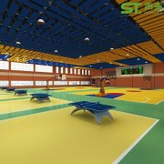 内蒙古赤峰林东一中体育馆工程案例