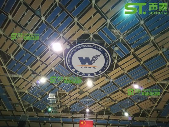 福建梦笔小学体育馆工程案例(图3)